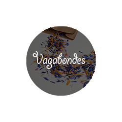 Pot Plantes Vagabondes