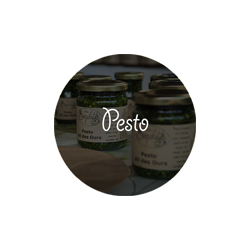 Pesto Ail des Ours