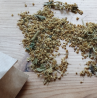 Tisane Fleurs de Sureaux