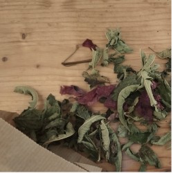 Tisane L'eau des Lutins
