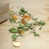 Tisane Ligne Re-Belle Goût orange