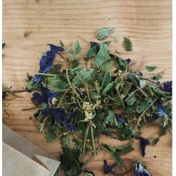 Tisane le chêne Dénoué