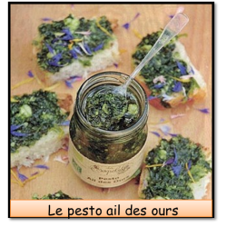 Pesto Ail des Ours