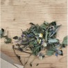 Tisane Légèreté du Festin