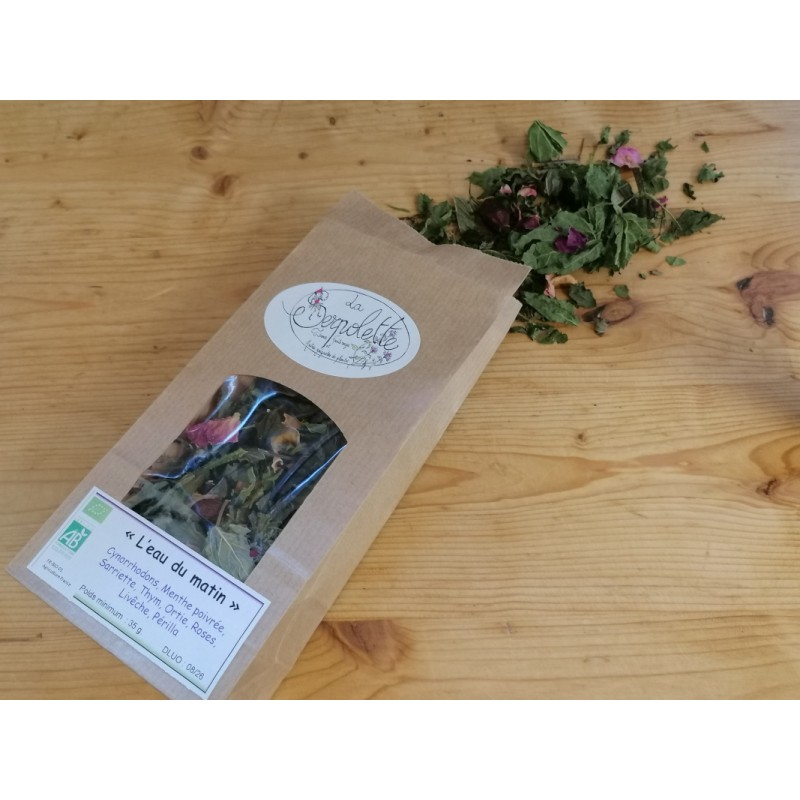 Tisane l'eau du matin