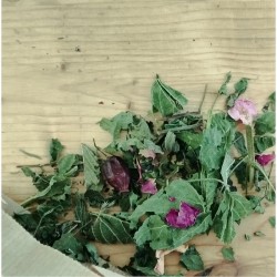 Tisane L'eau du Matin