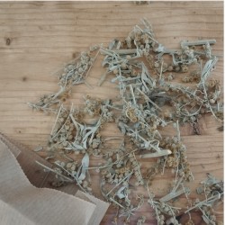 Tisane d'Absinthe