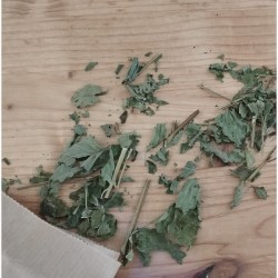 Tisane de Mélisse