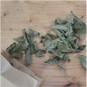 Tisane de Sauge