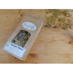 Tisane sureau