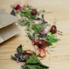 Tisane L'eau du Matin