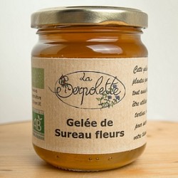 Gelée de sureaux fleurs