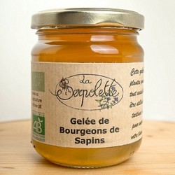 Gelée de Bourgeons de sapins